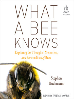 cover image of What a Bee Knows